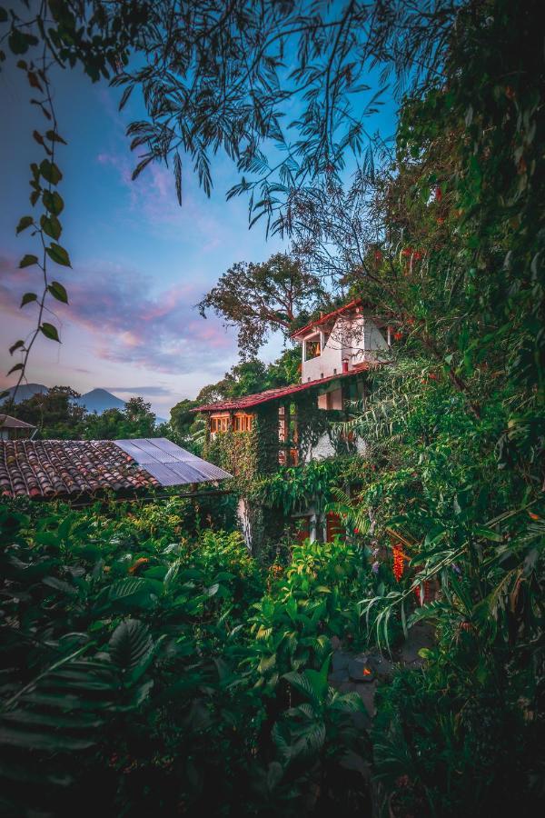 Lush Atitlan Hotell San Marcos La Laguna Eksteriør bilde